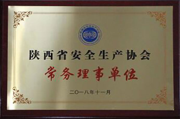 陕西省安全生产协会常务理事单位